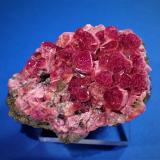 Elbaite (Tourmaline Group)<br />Antsira, Sahatany Valley (Mt. Ibity), Vakinankaratra Region, Madagascar<br />46 mm x 34 mm x 21 mm<br /> (Author: Don Lum)