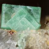 Torbernite<br />Chaméane Uranium Deposit, Le Vernet-Chaméane, Issoire District, Puy-de-Dôme Department, Auvergne-Rhône-Alpes, France<br />FOV 1mm<br /> (Author: david916)