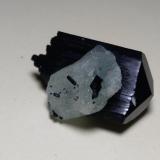 Tourmaline (variety schorl), Beryl<br />Erongo Mountain, Usakos, Erongo Region, Namibia<br />31 x 22 mm<br /> (Author: Sante Celiberti)