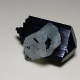 Tourmaline (variety schorl), BerylMonte Erongo, Usakos, Región Erongo, Namibia31 x 22 mm (Author: Sante Celiberti)