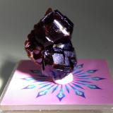 Grossularia<br />Monte Beigua, Provincia Savona, Liguria, Italia<br />18 x 14 mm<br /> (Autor: Sante Celiberti)