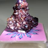 Grossularia<br />Monte Beigua, Provincia Savona, Liguria, Italia<br />21 x 21 mm<br /> (Autor: Sante Celiberti)