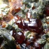 Grossularia (variedad hessonita), Clinocloro<br />Val di Viù / Valle Viù, Valles Lanzo (Valli di Lanzo), Provincia Ciudad metropolitana de Turín, Piamonte (Piemonte), Italia<br />73 x 62 mm<br /> (Autor: Sante Celiberti)