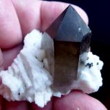 Cuarzo (variedad ahumado), AlbitaPedrera Mas Sever, Massabè (Mas Ceber), Sils, Comarca La Selva, Gerona / Girona, Cataluña / Catalunya, España5 x 4 cm. Cristal 4 cm. (Autor: javier ruiz martin)