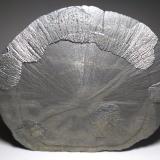Pyrite<br />Sparta, Randolph County, Illinois, USA<br />11,5 x 10 cm<br /> (Author: Sante Celiberti)