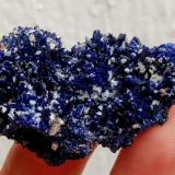 AzuritaOumjrane mining area, Alnif Commune, Tinghir Province, Drâa-Tafilalet Region, Morocco4,6 x 2,8 x 2,0 cm. (Autor: Carles)