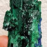 Malaquita, Azurita<br />Kerrouchen, Provincia Khénifra, Región Beni Mellal-Khenifra, Marruecos<br />4,5 x 2,7 x 2,0 cm.<br /> (Autor: Carles)