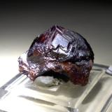 Grossularia (variedad  hessonita)<br />Bric Camulà, Cogoleto, Provincia Génova, Liguria, Italia<br />20 x 15 mm<br /> (Autor: Sante Celiberti)