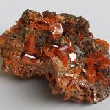 Wulfenite, VanadiniteMina Pure Potential, Distrito Silver, Montes Trigo, Condado La Paz, Arizona, USA2,5 x 2 cm (Author: Volkmar Stingl)