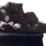 Fluorite, Sphalerite<br />Lead mines, Obernberg am Brenner, Innsbruck-Land District, Tyrol/Tirol, Austria<br />10,5 x 5,5 cm<br /> (Author: Volkmar Stingl)
