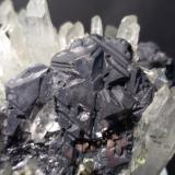 Galena, Quartz<br />Madan mining area, Rhodope Mountains, Smolyan Oblast, Bulgaria<br />87 x 57 mm<br /> (Author: Sante Celiberti)