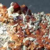 Grosularia (variedad hessonita), Diopsido, Clinochloro<br />Val di Susa, Provincia Ciudad metropolitana de Turín, Piamonte (Piemonte), Italia<br />106 x 65 mm<br /> (Autor: Sante Celiberti)