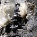 Proustite<br />Uchucchacua Mine, Oyón Province, Lima Department, Peru<br />62 x 51 mm<br /> (Author: Sante Celiberti)