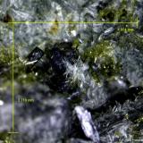 Diópsido.<br />Concesión Acedo (Cantera Juanona), Juanona, Antequera, Comarca de Antequera, Málaga, Andalucía, España<br />4´001 x 3´710 mm.<br /> (Autor: Jesus Franquesa Baucells)