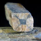Andalucita (variedad quiastolita)<br />Cerro del Castillo de Mirabel, Mirabel, Mancomunidad Riberos del Tajo, Cáceres, Extremadura, España<br />4 x 1 cm.<br /> (Autor: Antonio P. López)