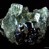 Fluorita y Galena.<br />Naica, Municipio Saucillo, Chihuahua, México<br />60x40 mm.<br /> (Autor: Jesus Franquesa Baucells)
