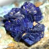 Azurite, Chalcocite, Phillipsburgite, Theisite<br />Sa Duchesa Mine, Oridda Valley, Domusnovas, Sud Sardegna Province, Sardinia/Sardegna, Italy<br />73 x 40 mm<br /> (Author: Sante Celiberti)