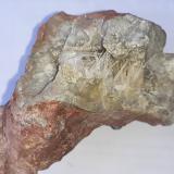 Aragonite<br />Hörndlinger Graben, Hochfilzen, Kitzbühel District, North Tyrol, Tyrol/Tirol, Austria<br />8 x 7 cm<br /> (Author: Volkmar Stingl)