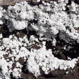 Ferrierite-Mg<br />Wildon (former Weitendorf), Leibnitz District, Styria/Steiermark, Austria<br />5 x 3,5 cm<br /> (Author: Volkmar Stingl)