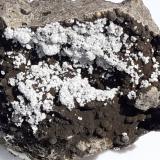 Ferrierite-Mg<br />Wildon (former Weitendorf), Leibnitz District, Styria/Steiermark, Austria<br />5 x 3,5 cm<br /> (Author: Volkmar Stingl)