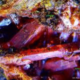 Crocoita.<br />Dundas, Distrito Zeehan, Consejo Costa Oeste, Tasmania, Australia<br />5´655 x 4´018 mm.<br /> (Autor: Jesus Franquesa Baucells)