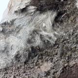 Epidote, Actinolite (variety Byssolite)<br />Knappenwand, Knappenwand area, Untersulzbach Valley, Hohe Tauern, Salzburg, Austria<br />6 x 5,5 cm<br /> (Author: Volkmar Stingl)