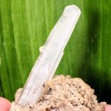 CelestinaCelestine deposit, Hurchillo floodgates, Tajo-Segura irrigation system, Arneva, Orihuela, Comarca Vega Baja del Segura, Alicante / Alacant, Valencian Community / Comunitat Valenciana, Spain4,2 x 3,5 cm. (Autor: Carles)