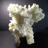 Aragonite<br />San Giovanni Mine, Punta della Torre, Iglesias, Sud Sardegna Province, Sardinia/Sardegna, Italy<br />23 x 20 cm<br /> (Author: Sante Celiberti)