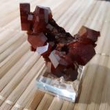 Vanadinite<br />Coud'a, Mibladen mining district, Mibladen, Midelt, Midelt Province, Drâa-Tafilalet Region, Morocco<br />3.6 x 3.0 x 2.0 cm<br /> (Author: Casimir Sarisky)