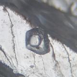 TopacioMimoso do Sul, Espirito Santo, Región Sudeste, BrasilInclusión con 0,3 x 0,3 mm (Autor: Anisio Claudio)