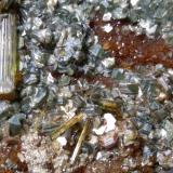 Grossularia (variedad hessonita), Vesuvianita (Vesubiana), Clinocloro<br />Bellecombe, Châtillon, Valle de Aosta (Val d'Aosta), Italia<br />114 x 52 mm<br /> (Autor: Sante Celiberti)