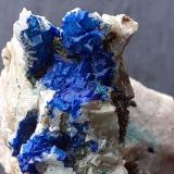 Azurite on Dolomite, Malachite<br />Ringenwechsel Mining District, Troi, District Schwaz, Inn Valley, North Tyrol, Tyrol/Tirol, Austria<br />3 x 2 cm<br /> (Author: Volkmar Stingl)