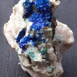 Azurite on Dolomite, Malachite<br />Ringenwechsel Mining District, Troi, District Schwaz, Inn Valley, North Tyrol, Tyrol/Tirol, Austria<br />3 x 2 cm<br /> (Author: Volkmar Stingl)