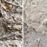 En las fracturas de los sedimentos a veces se forman cristalizaciones de calcita (izquierda). También se pueden encontrar fósiles, a la derecha un ammonite. Ahí se quedó para que la erosión siga su curso, la recogida de fósiles está completamente prohibida en Catalunya. (Autor: Frederic Varela)