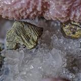 Sphaletite coated by Chalcopyrite with Rhodochrosite and QuartzBatantsi Mine, Madan mining area, Rhodope Mountains, Smolyan Oblast, BulgariaMain crystal size: 4.5 mm (Author: am mizunaka)