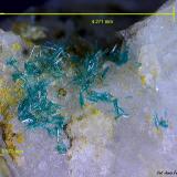 Brochantita.Cuevas del Almanzora, Comarca Levante Almeriense, Almería, Andalucía, España4´271 x 3´570 mm. (Autor: Jesus Franquesa Baucells)