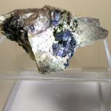 Clintonita<br />Lago della Vacca, Cornone di Blumone, Breno, Provincia Brescia, Lombardia, Italia<br />65 x 40 mm<br /> (Autor: Sante Celiberti)