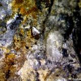 WulfenitaMina Saturno, Cerro del Caldero, Benahadux, Comarca Metropolitana de Almería, Almería, Andalucía, España0´701 x 0´498 mm. (Autor: Jesus Franquesa Baucells)