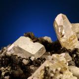 Apatite with Quartz<br />Schwarzkopf, Gastein Valley, St. Johann im Pongau, Hohe Tauern, Salzburg, Austria<br />FOV 25 mm<br /> (Author: Gerhard Brandstetter)