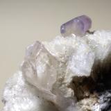Fluorapatite, Topaz, AlbiteValle Shigar, Distrito Shigar, Gilgit-Baltistan (Áreas del Norte), Paquistán59 x 56 mm (Author: Sante Celiberti)