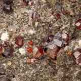 Sphalerite<br />Hammam-Zriba Mine, Zriba, Zaghouan Governorate, Tunisia<br />FOV 12 mm<br /> (Author: Gerhard Brandstetter)