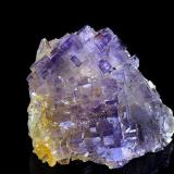 Fluorite<br />Hammam-Zriba Mine, Zriba, Zaghouan Governorate, Tunisia<br />40 x 35 mm<br /> (Author: Gerhard Brandstetter)