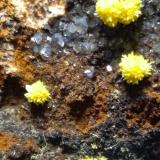 Mimetite<br />Plaka Mines, Plaka, Lavrion Mining District, Attikí (Attica) Prefecture, Greece<br />50 x 33 mm<br /> (Author: Sante Celiberti)