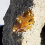 WulfeniteHaiming, Distrito Imst, Tirol Norte, Tirol, Austria5,5 x 4 cm (Author: Volkmar Stingl)