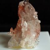 Fluorapophyllita-(K) (Apofilita)<br />India<br />4 x 2.5<br /> (Autor: Pedro Antonio)