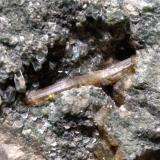 Clinozoisita, Clinochloro<br />Val di Susa, Provincia Ciudad metropolitana de Turín, Piamonte (Piemonte), Italia<br />72 x 62 mm<br /> (Autor: Sante Celiberti)