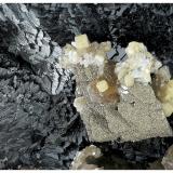 Fluorapatite, Sphalerite, Quartz, Muscovite, Siderite<br />Minas da Panasqueira, Aldeia de São Francisco de Assis, Covilhã, Castelo Branco, Cova da Beira, Centro, Portugal<br />14 cm x 12 cm x 7 cm<br /> (Author: silvia)