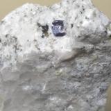 Molibdenita<br />Canteras Cadarese, Canteras Premia gneiss, Premia, Antigorio Valley, Valle Ossola, Provincia Verbano-Cusio-Ossola, Piamonte (Piemonte), Italia<br />48 x 40 mm<br /> (Autor: Sante Celiberti)