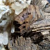 Pyrrhotite, Quartz<br />Trepča Complex, Trepča Valley, Kosovska Mitrovica, Kosovska Mitrovica District, Kosovo<br />16 x 14 cm<br /> (Author: Sante Celiberti)