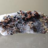 Chondrodita<br />Champoluc, Val d'Ayas, Valle de Aosta (Val d'Aosta), Italia<br />59 x 26 mm<br /> (Autor: Sante Celiberti)